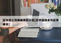 区块链公司杨峰简历介绍[区块链技术与应用峰会]